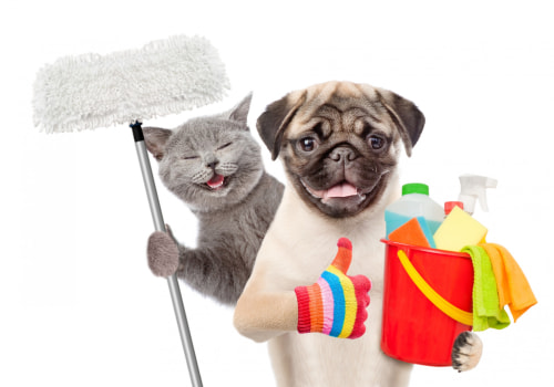 Pet-Friendly Cleaning Services in Austin, Texas